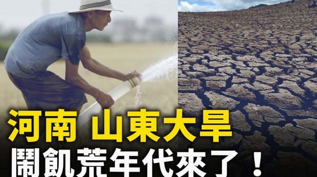 浮岛敏精忠报国，这货肯定收到日本国内压力了