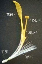 谢尔基或跻身足坛商业代言前十；奥利塞将签约耐克