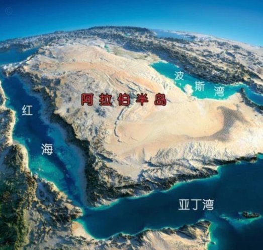 沙特幕后团队临阵大换血，有工作人员和球员登机后才相识