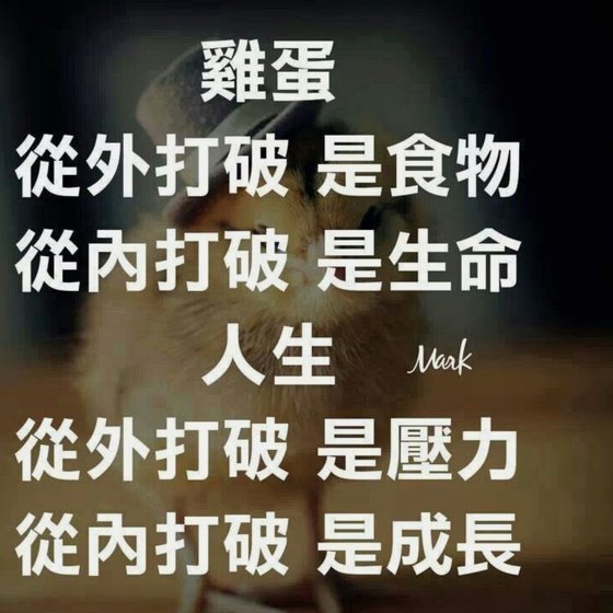 看看这一幕，你还会支持阿根廷，还会喜欢梅西？吗？