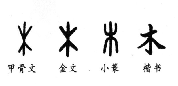 我真不明白一些人，一个亚洲三四流的中国队，为啥天天吹那些小孩成绩，还一直挂到嘴边。