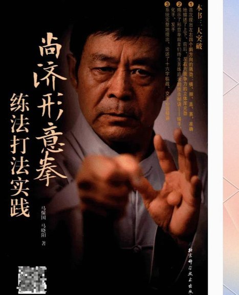 小酱足球就是马宝国的真武术表演